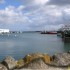 Le port de Lesconil .