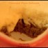 Tiramisù Poire Speculos