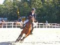 - Poney de Jardy -