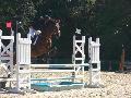 - Poney de Jardy -