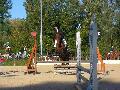 - Poney -