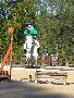 - Poney Blanc -