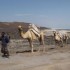 Présentation de Djibouti !!