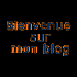 Ah bienvenue sur mon blog