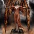 Ange