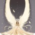 Ange
