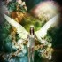 Ange