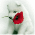 Chiens