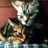 Chat