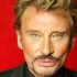 Mon Idole Johnny Hallyday