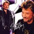 Mon Idole Johnny Hallyday