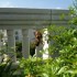 Notre Jungle