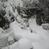 MON JARDIN SOUS LA NEIGE..