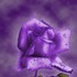 Sous la harpe du vent à l'aura de violet