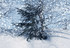 Il neige en ce jour gris ...