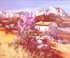 Les Alpilles ont souri …