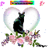 cadeau pour toutes ou nouvelle