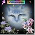 cadeau pour toutes ou nouvelle