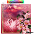 cadeau pour toutes ou nouvelle