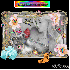 cadeau pour toutes ou nouvelle