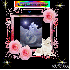cadeau pour toutes ou nouvelle