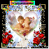 cadeau pour toutes ou nouvelle