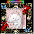 cadeau pour toutes ou nouvelle