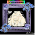 cadeau pour toute mes amies ou
