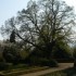 Parc de la Léonardsau à Ober