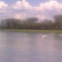 Promenade le long du Rhin