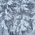 Toujours le manteau blanc !