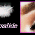 RECONFIGURATION DE MON BLOG...