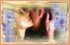 Les Amants d'hier