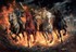 Les 4 cavaliers de l'apocalypse