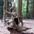 De Kibune à Kurama
