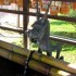 Nara (1)