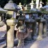Nara (1)