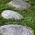 Nara (2)