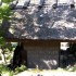 Nara (2)