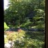 Nara (2)