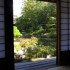 Nara (2)