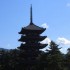 Nara (3)