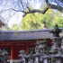 Nara (3)