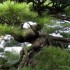 Shikoku (1)
