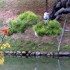 Shikoku (1)