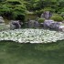 Shikoku (1)