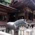 Shikoku (2)