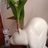 1er mai