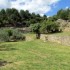 Garrigue autour de Nîmes