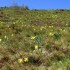 Un tour dans la haute vallée 
